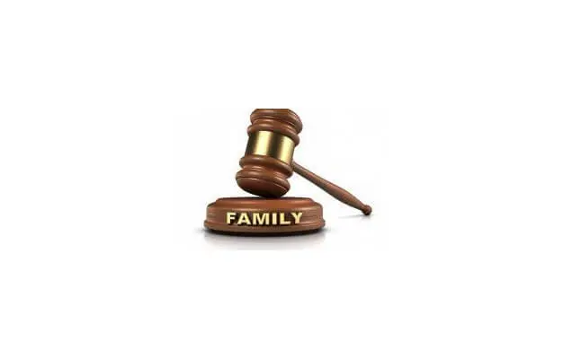 Family Law Left